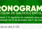 Secretaria de Agricultura divulga cronograma para depósito e recolhimento de galhos no setor 1
