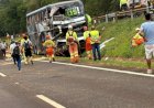 Colisão traseira entre ônibus e carreta deixa cinco feridos na BR-277