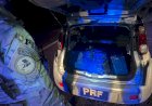 PRF apreende 100 quilos de maconha e prende motorista em Toledo