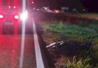 Quarto atropelamento no fim de semana termina com morte de idoso na BR-163, em Sede Alvorada