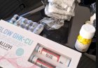 PRF apreende medicamentos irregulares e mais de mil garrafas de vinho argentino em Cascavel