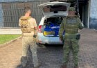 BPFRON e Polícia Federal apreendem 196 quilos de maconha em Terra Roxa