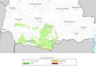 Simepar alerta para risco de geada no Paraná neste domingo; Oeste pode registrar temperaturas próximas de 0°C