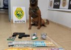 BPFRON apreende drogas, arma e munições durante abordagem em Marechal Rondon