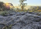Paraná registra mais uma madrugada gelada com temperaturas abaixo de 5 °C, com geada fraca em Marechal Rondon