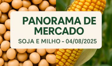 Panorama do Mercado de Soja e Milho para 04/08/2025