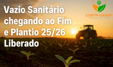 Vazio sanitário chega ao fim e abre a temporada de plantio da safra 2025/26