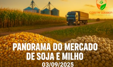 Panorama do Mercado de Soja e Milho – 03/09/2025
