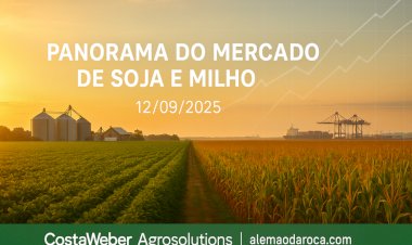 Panorama do Mercado de Soja e Milho  12/09/2025