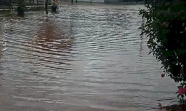 Veja o video de Rua completamente alagada em Maripá Neste sábado (01)