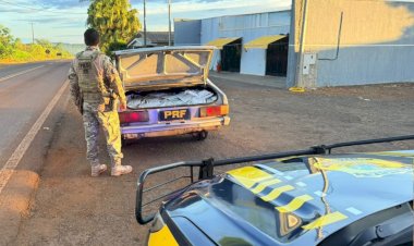 PRF apreende 200 quilos de agrotóxicos contrabandeados na região