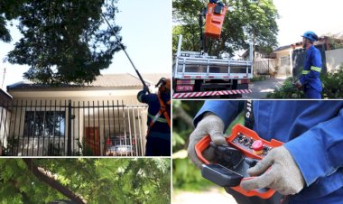 Empresa terceirizada inicia serviços de poda de árvores em Marechal Cândido Rondon