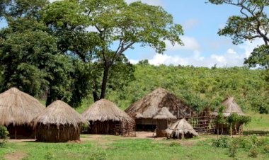 Idosa indígena é agredida e roubada na Aldeia Tekoha Guarani; suspeito é detido