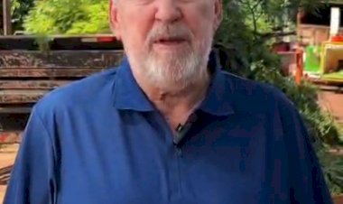 Recanto Feliz e Berlim recebem poda de árvores para evitar novos  rompimentos na rede elétrica