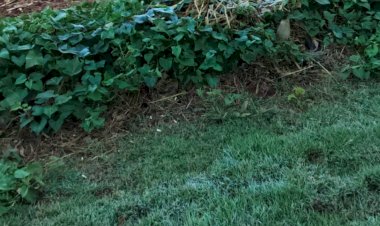 Meteorologista desmente fake news sobre inverno rigoroso no Sul do Brasil em 2026