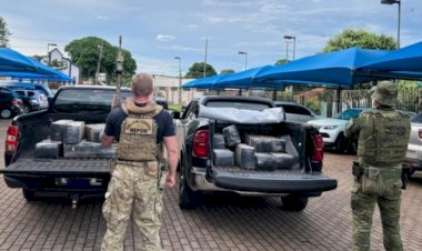 Ação integrada apreende 262 kg de maconha  na cidade de Mercedes