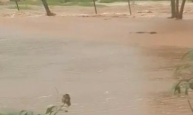 Volumes de chuva superam 200 mm  em Marechal Rondon no Oeste do Paraná  e contradizem  fake news