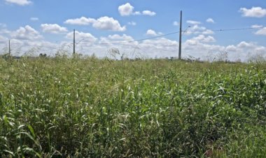 Prefeitura de Nova Santa Rosa reforça orientação sobre limpeza de terrenos urbanos