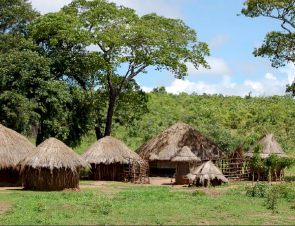 Idosa indígena é agredida e roubada na Aldeia Tekoha Guarani; suspeito é detido