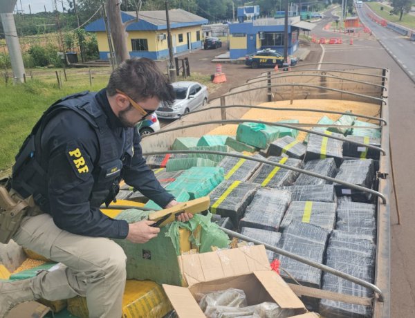 PRF apreende mais de 5 toneladas de drogas em caminhão na BR-163