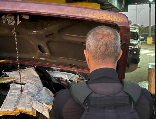 PRF apreende agrotóxicos contrabandeados escondidos no motor de caminhonete na BR-163