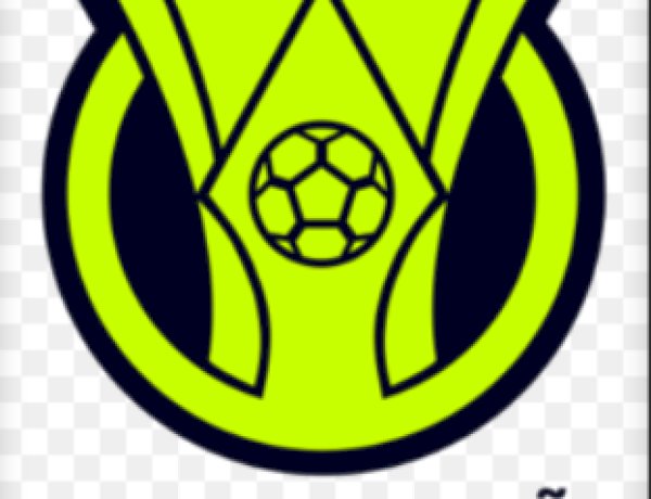 Palmeiras lidera após rodada com vitórias de Flamengo e São Paulo