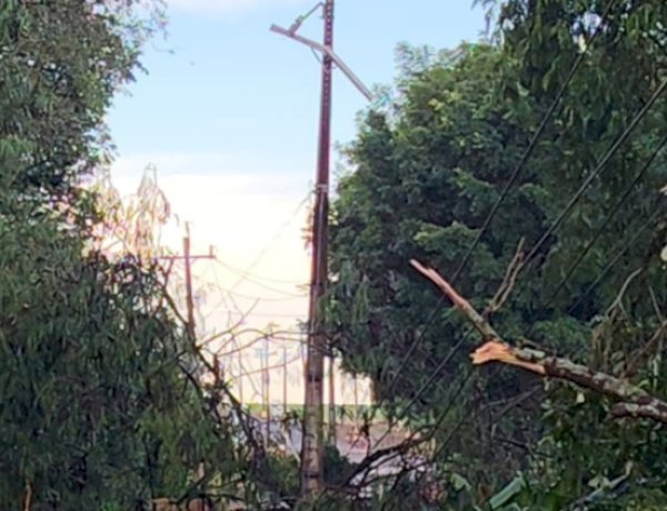 ATENÇÃO: Queda de árvores mantém  interdita rodovia entre Clube Lira e Novo Horizonte em Marechal Rondon