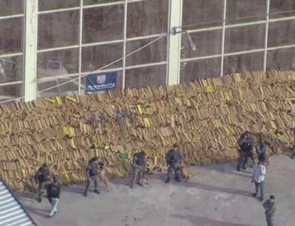 PM apreende quase 50 toneladas de maconha em operação histórica no Rio de Janeiro