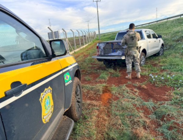 Após perseguição, PRF apreende quase 1 tonelada de maconha no Oeste do Paraná