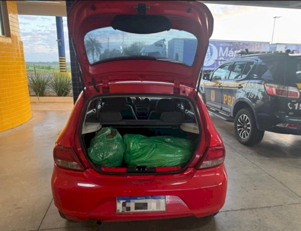 PRF prende motoristas de aplicativo com drogas  na região de fronteira do Paraná; um em Marechal Rondon