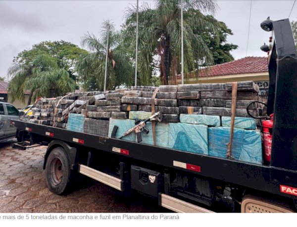 PM apreende mais de 5 toneladas de maconha e fuzil escondidos em carga de mandioca no Paraná