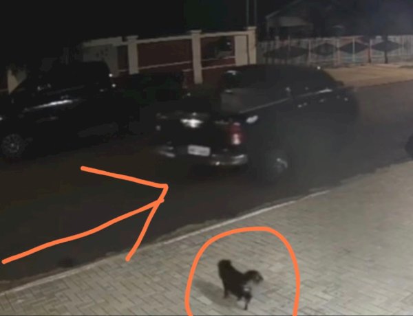 Polícia mobiliza forças da fronteira após furto de caminhonete em Nova Santa Rosa