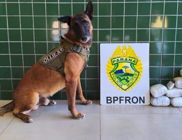 BPFRON prende mulher e apreende mais de 6 quilos de haxixe em Guaíra