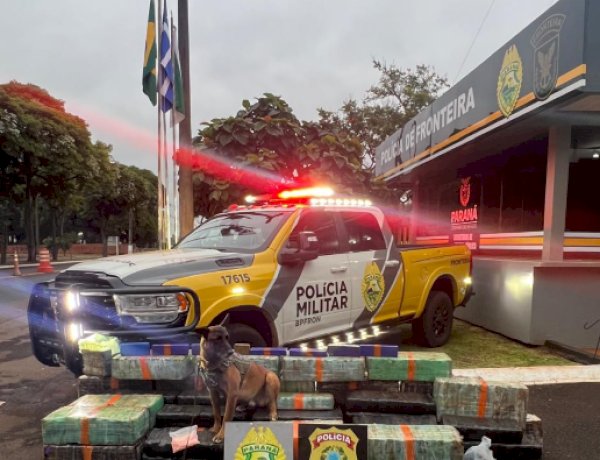 BPFRON e Polícia Federal apreendem mais de 930 quilos de maconha em Santa Helena