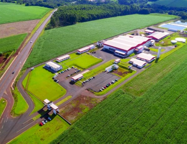 Frimesa fará entrevistas de emprego em Nova Santa Rosa para vagas em Marechal Rondon