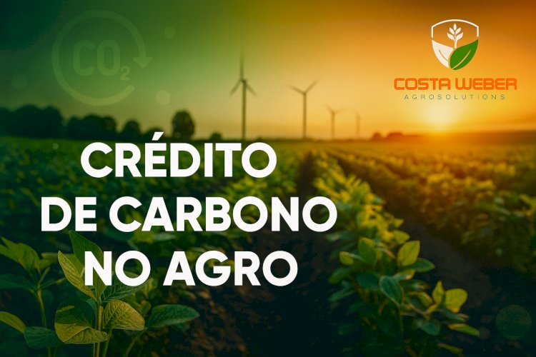 Crédito de Carbono no Agro: regras, oportunidades e como participar em 2025