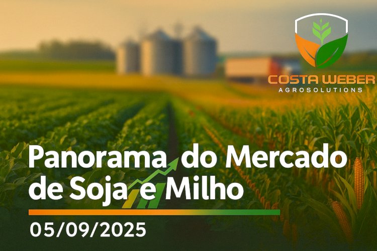 Panorama do Mercado de Soja e Milho – 05/09/2025