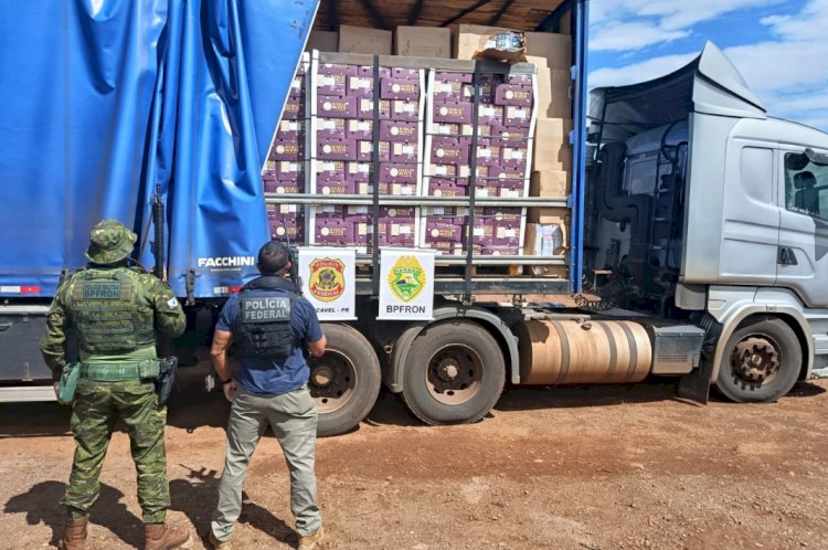 BPFRON prende contrabandista com carga milionária de cigarros eletrônicos   e alho na região