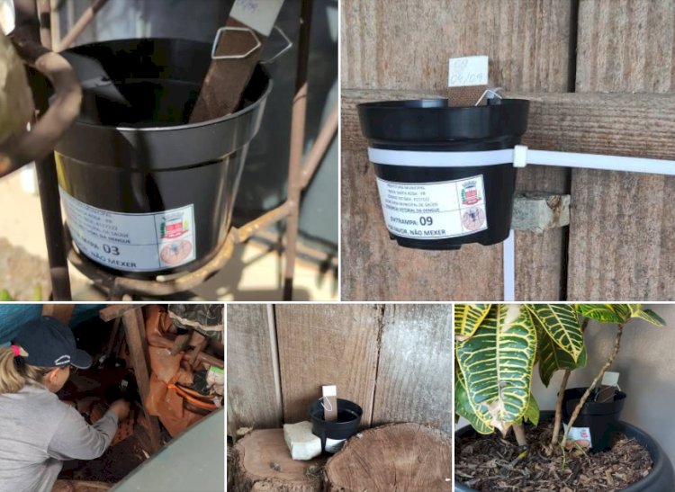 Nova Santa Rosa intensifica ações de combate ao mosquito Aedes aegypti