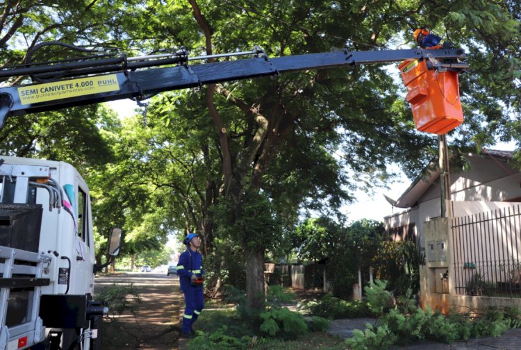 Empresa terceirizada inicia serviços de poda de árvores em Marechal Cândido Rondon