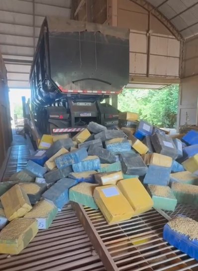 PRF apreende mais de 3 toneladas de maconha escondidas em carga de soja na BR-163