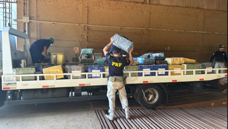 PRF apreende mais de 3 toneladas de maconha escondidas em carga de soja na BR-163
