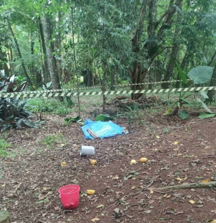 Freira de 82 anos é morta após invasão a convento no norte do Paraná