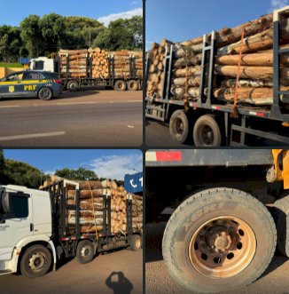 PRF flagra caminhão com 15 toneladas de excesso de carga e motorista com CNH suspensa na BR-277