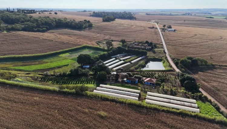 Inscrições abertas para o Prêmio Produtor Destaque 2026 em Marechal Cândido Rondon