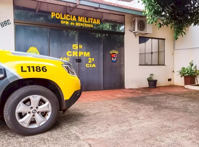 Gado faz estragos em lavora de milho e vira caso de polícia em Mercedes