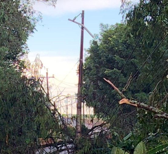 ATENÇÃO: Queda de árvores mantém  interdita rodovia entre Clube Lira e Novo Horizonte em Marechal Rondon