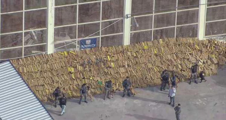 PM apreende quase 50 toneladas de maconha em operação histórica no Rio de Janeiro