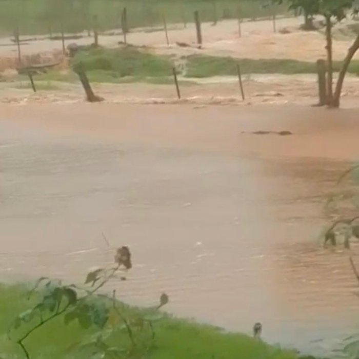 Volumes de chuva superam 200 mm  em Marechal Rondon no Oeste do Paraná  e contradizem  fake news