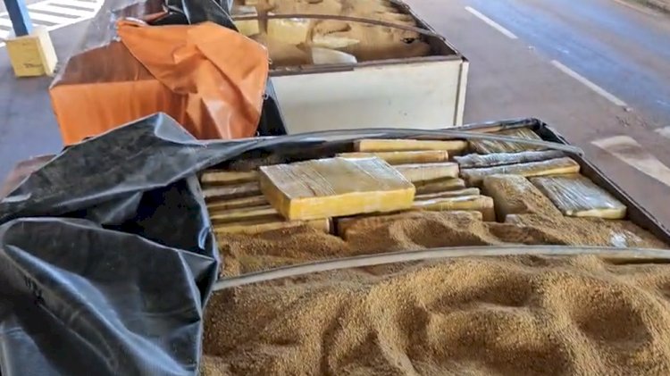 Atenção: PRF apreende quase 4 toneladas de maconha na BR-163, em Mercedes-PR; homem de 28 anos é preso